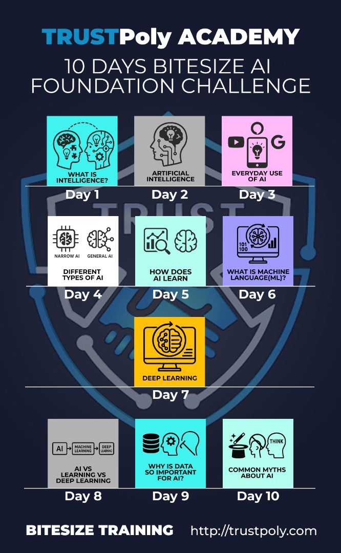 Polygon partnership insights